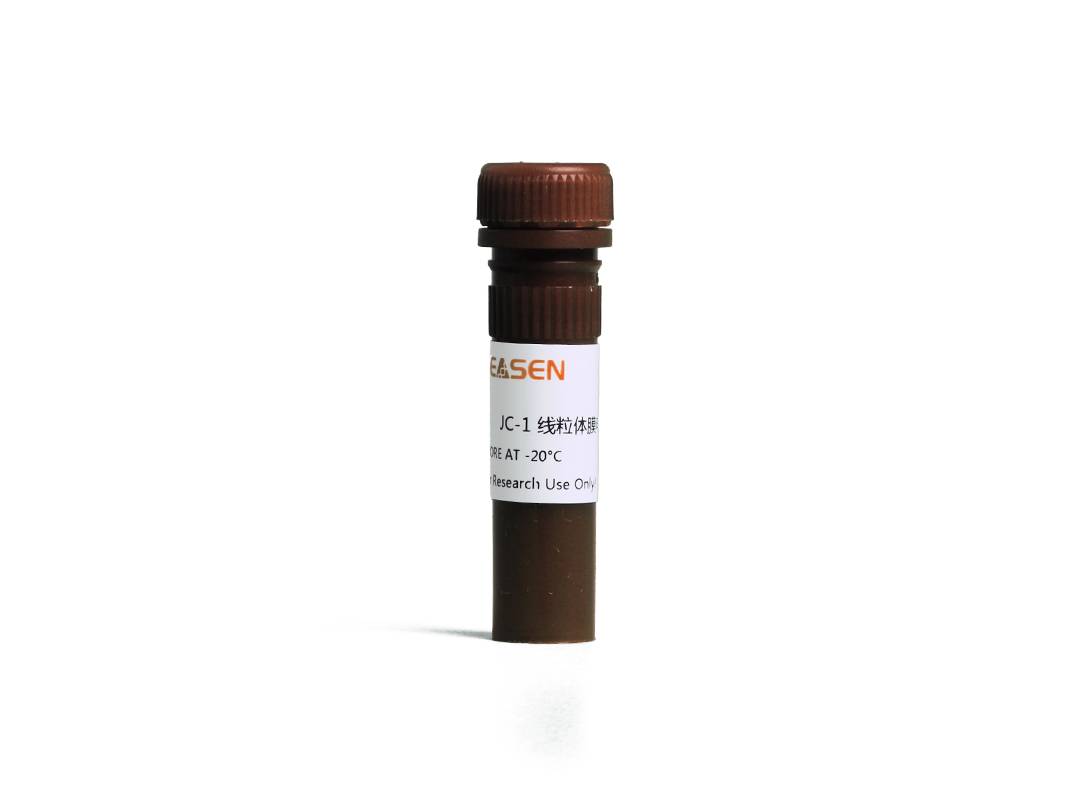 JC-1线粒体膜电位荧光探针产品图