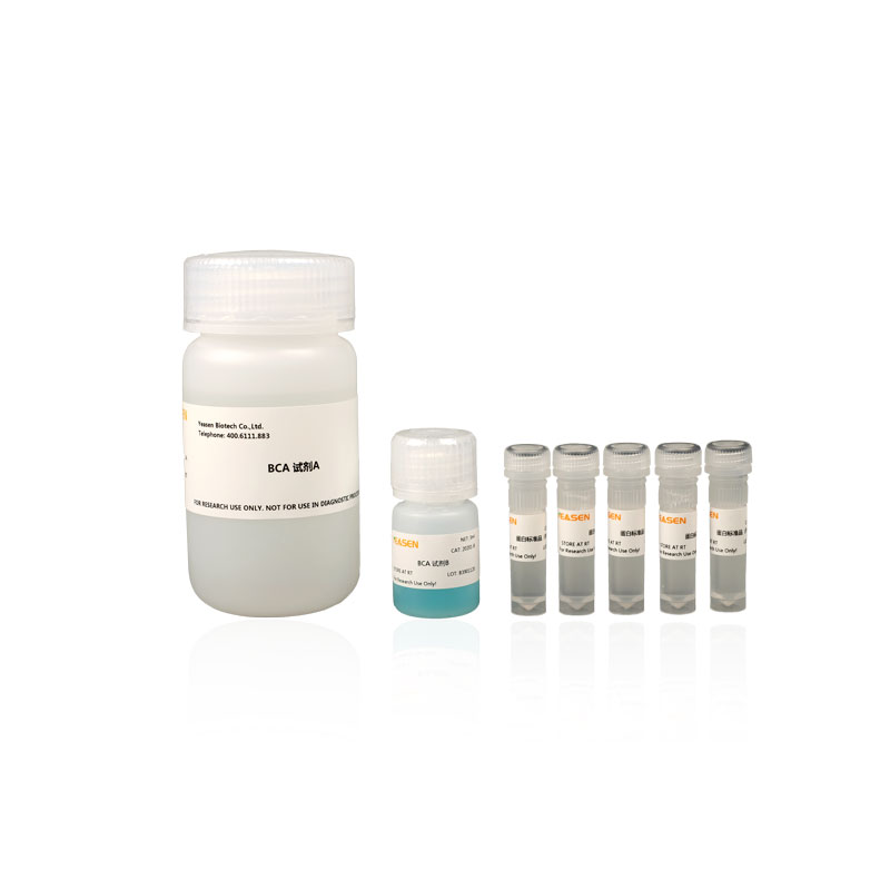 bca蛋白定量试剂盒(BCA Protein Quantification Kit)