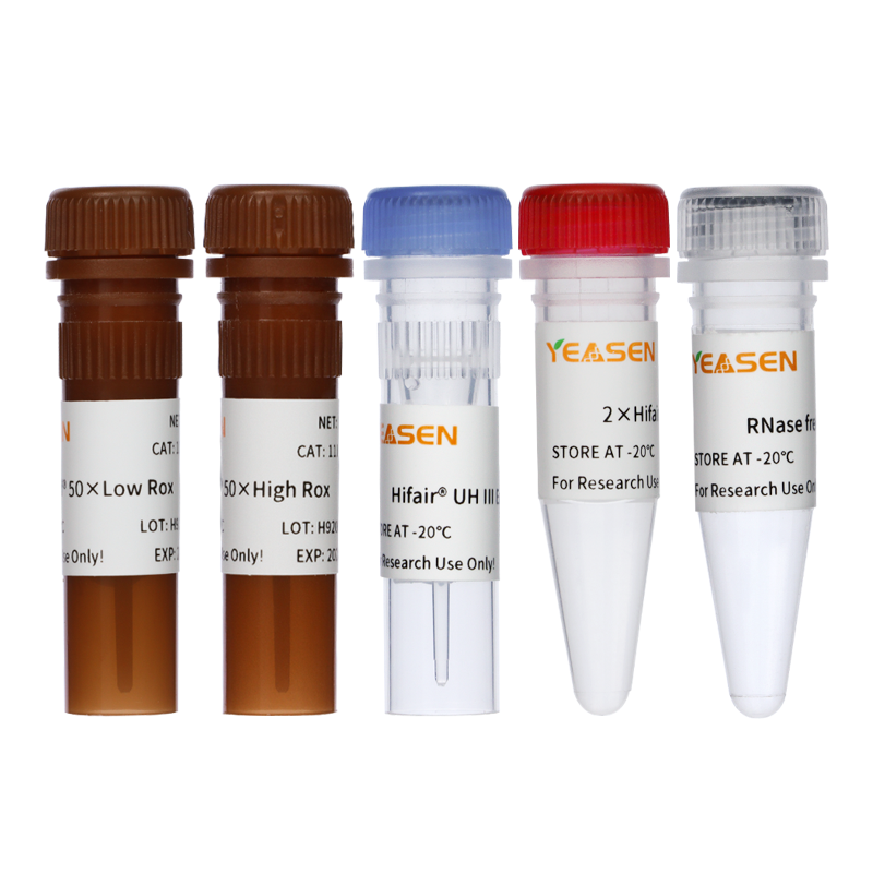 一步法RT-qPCR探针试剂盒 Hifair® Ⅲ One Step RT-qPCR Probe Kit产品图