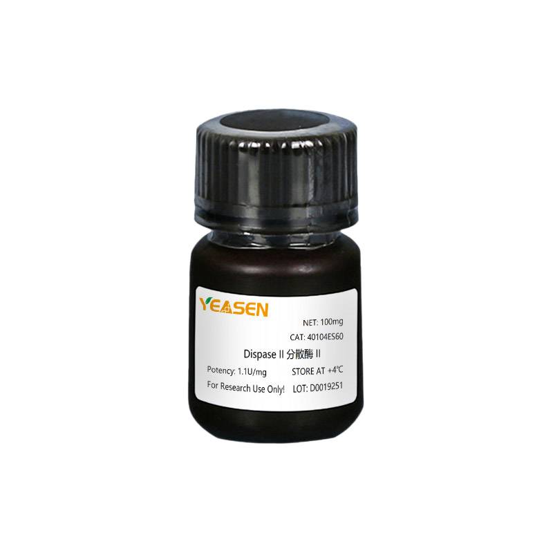 Dispase II 分散酶II 非特异性金属蛋白酶