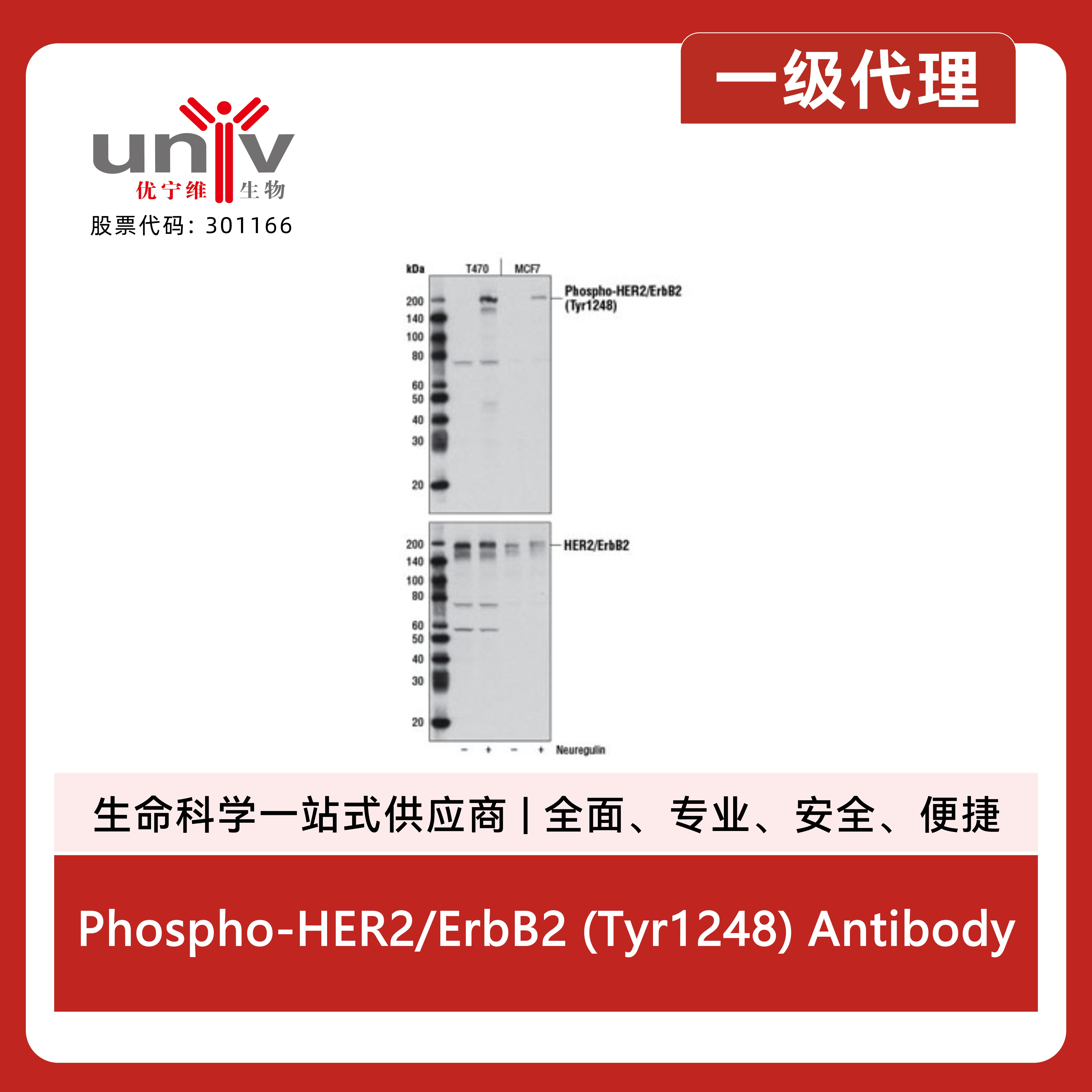 产品细节图片2