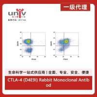 CTLA-4 (D4E9I) Rabbit Monoclonal Antibody
