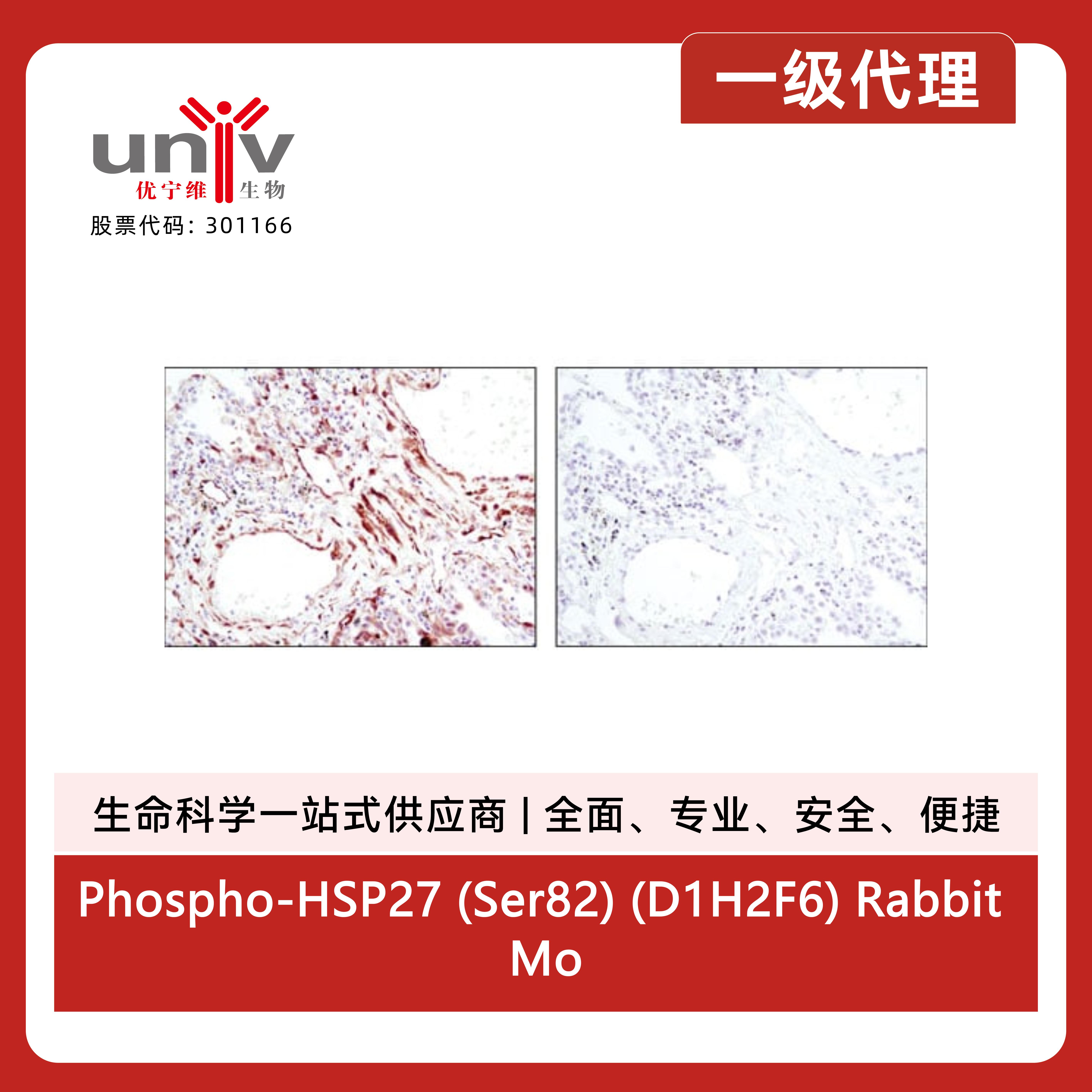 产品细节图片5