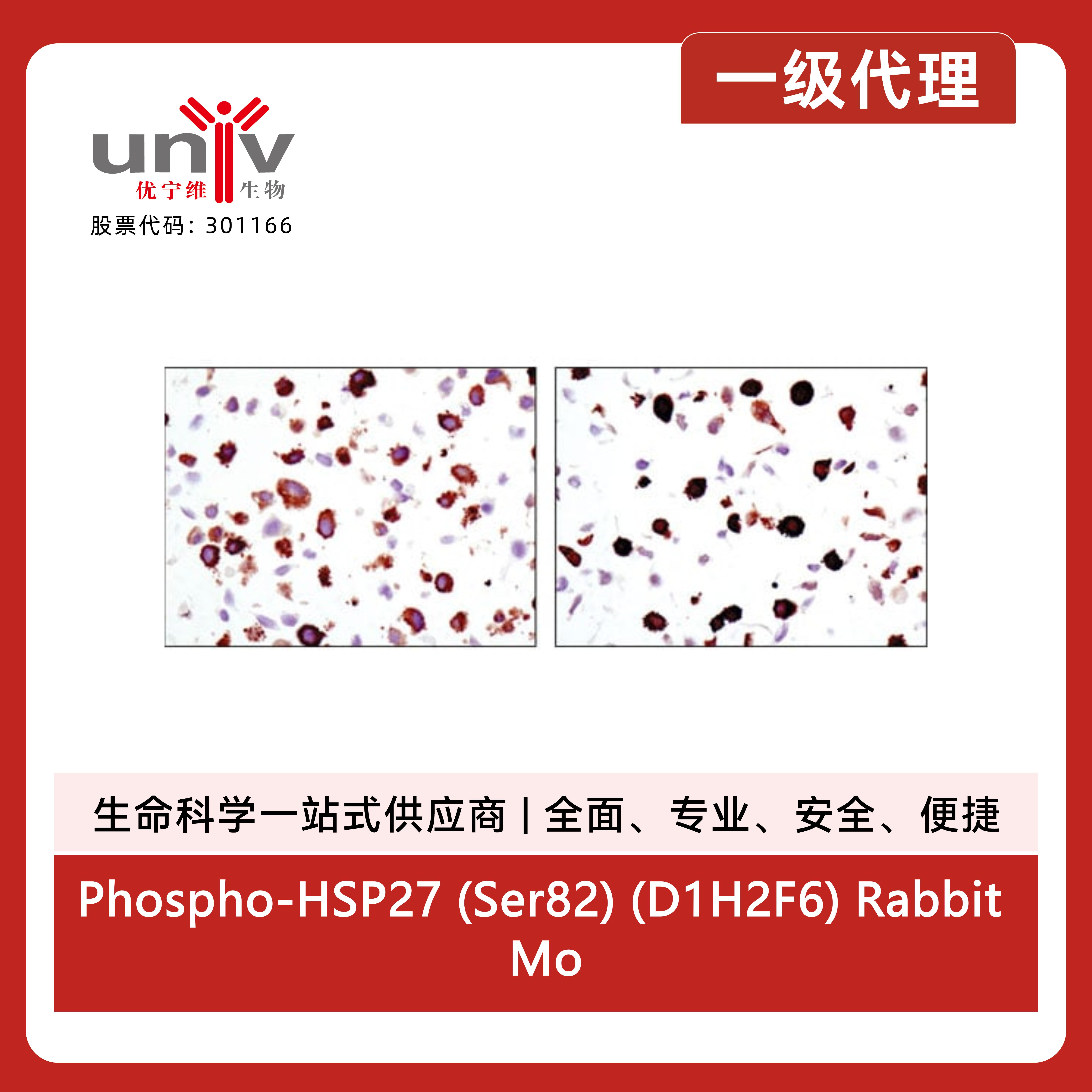 产品细节图片4