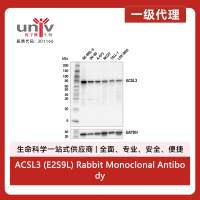 ACSL3 (E2S9L) Rabbit Monoclonal Antibody