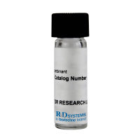 Recombinant Tetanus Neurotoxin Type Light Chain Protein, CF (10 ug)