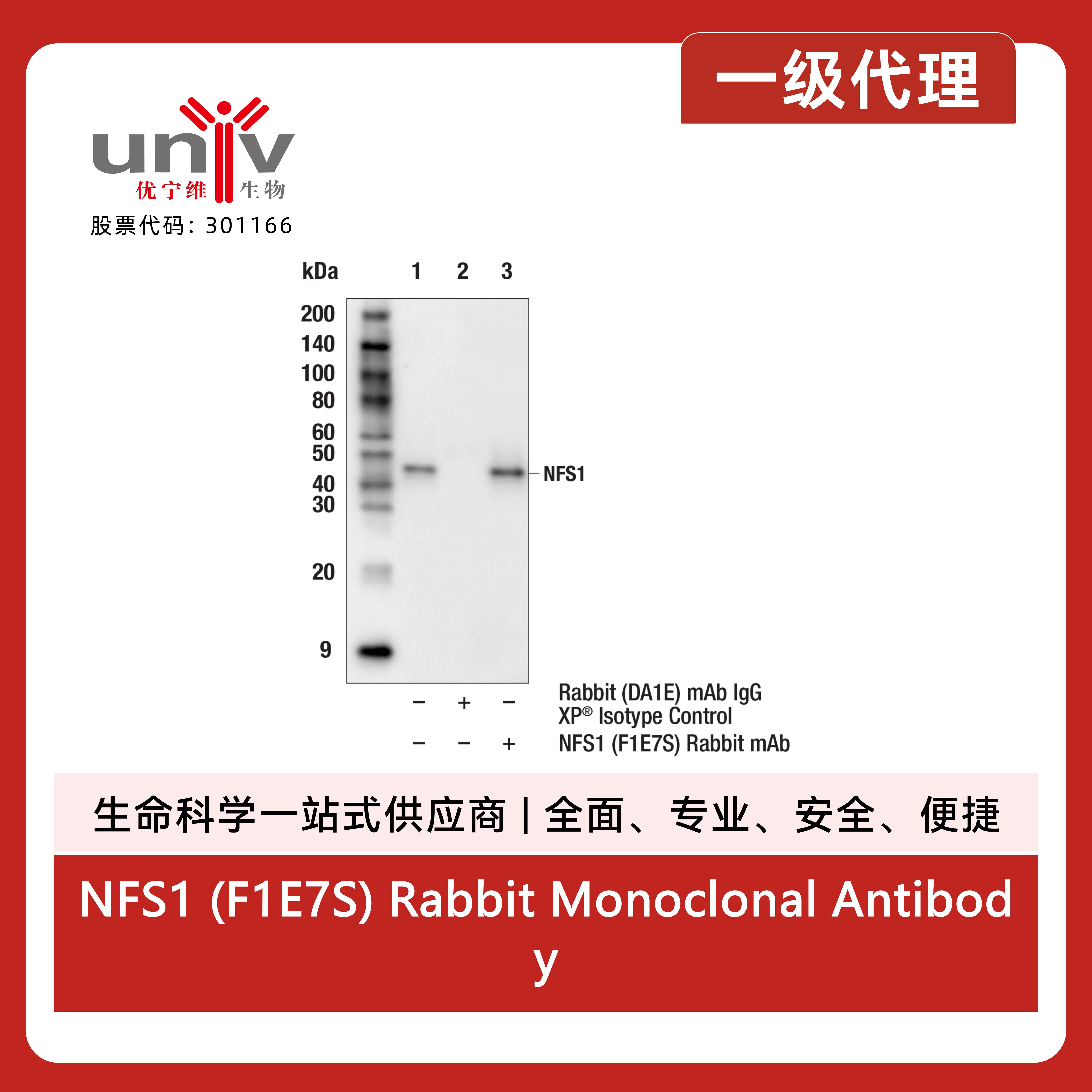 产品细节图片5