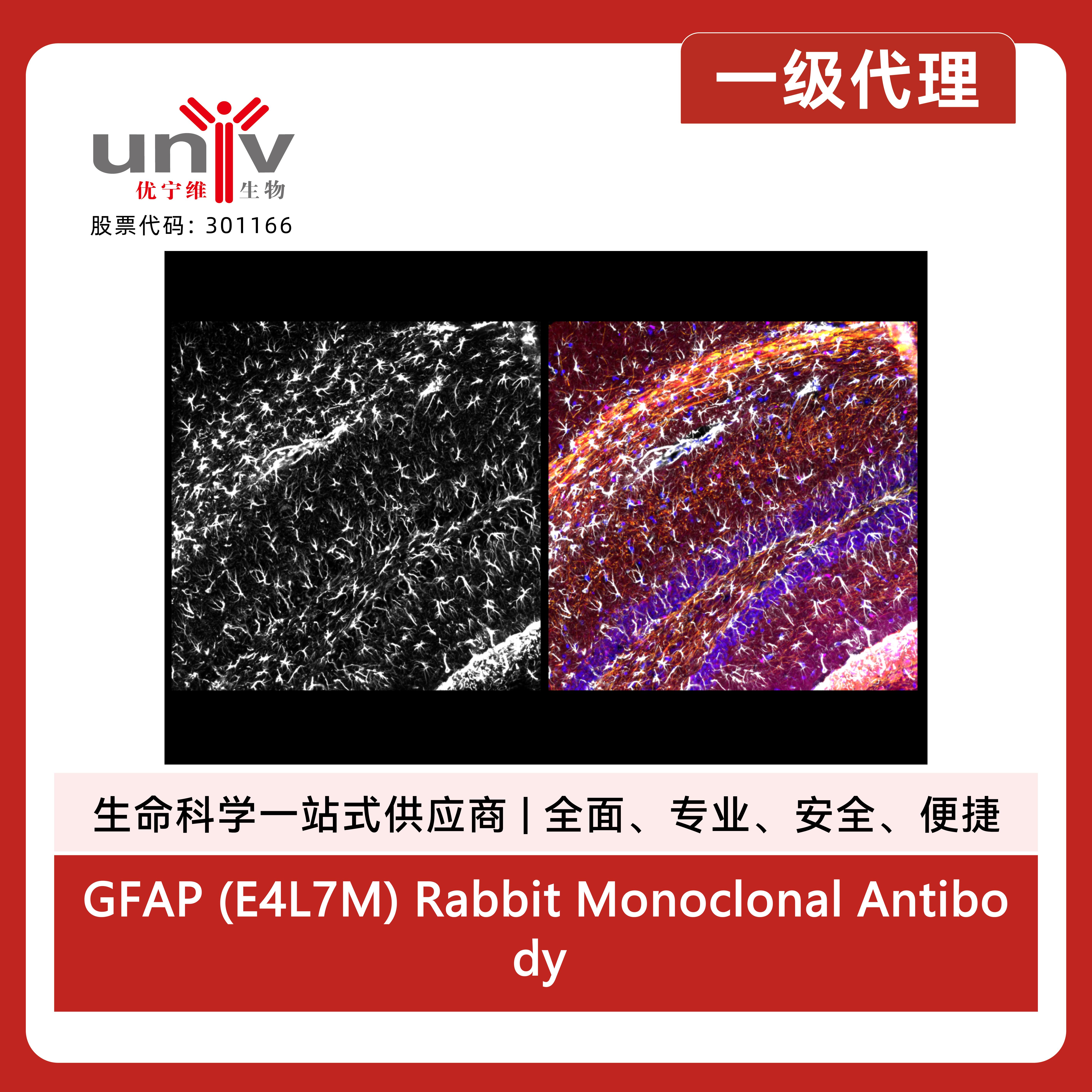 产品细节图片5