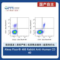 Alexa Fluor® 488 Rabbit Anti-Human CD40 Antibody (S-145-45)