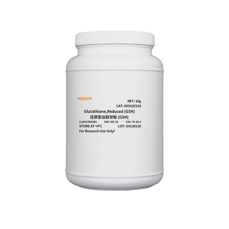 GSH还原型谷胱甘肽(Glutathione,Reduced)产品图