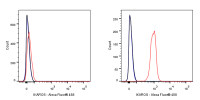 Rabbit anti-IKAROS Recombinant Monoclonal Antibody(S-R264)