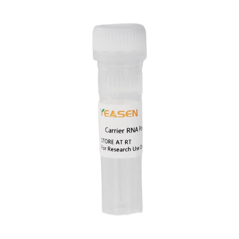 Carrier RNA冻干粉(载体RNA) 310μg/tube