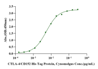 Recombinant Biotinylated Human B7-1 Protein(Human Fc Tag,Avi Tag)