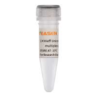 TaqMan多重qPCR预混液 Hieff Unicon® Universal TaqMan multiplex qPCR master mix