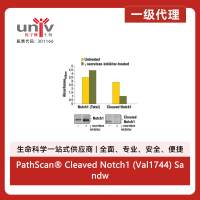 PathScan® Cleaved Notch1 (Val1744) Sandwich ELISA Kit