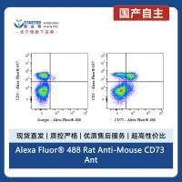 Alexa Fluor® 488 Rat Anti-Mouse CD73 Antibody (S-R636)