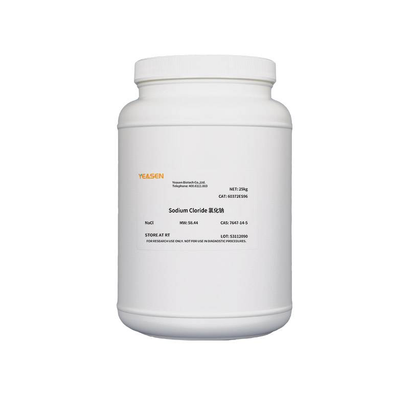 氯化钠 NaCl Sodium Cloride
