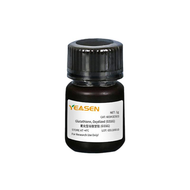 氧化型谷胱甘肽 Glutathione, Oxydized (GS-SG)产品图