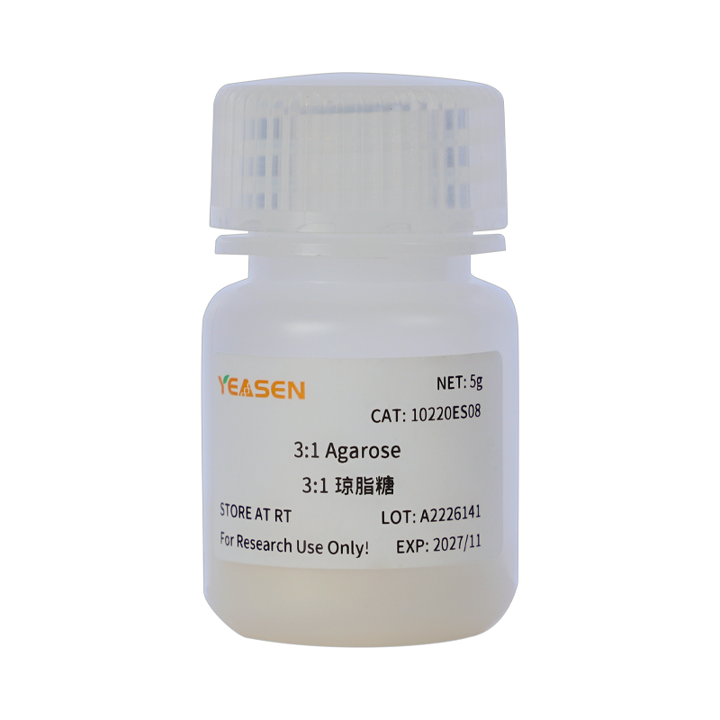 琼脂糖3:1 Agarose3:1 琼脂糖凝胶电泳试剂产品图