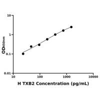 人血栓素B2(TXB2)ELISA试剂盒