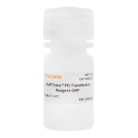 Hieff Trans® PEI Transfection Reagent-GMP转染试剂