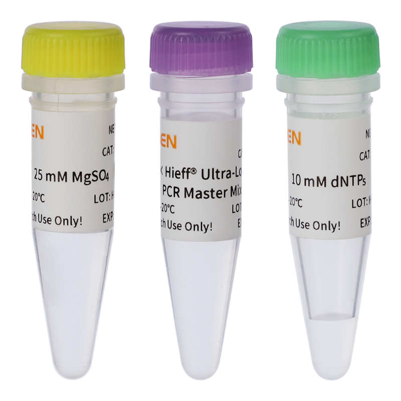 2×Hieff®长片段扩增PCR预混液( Ultra-Long PCR Master Mix)