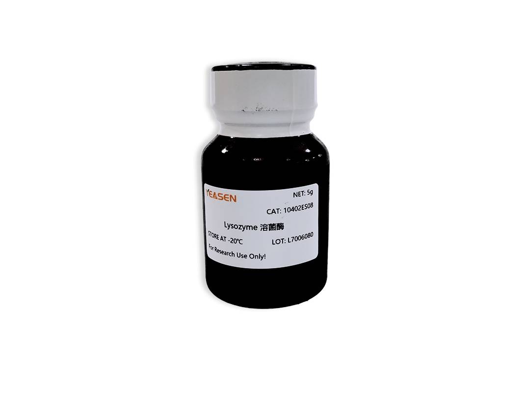 溶菌酶Lysozyme 胞壁质酶/N-乙酰胞壁质聚糖水解酶产品图