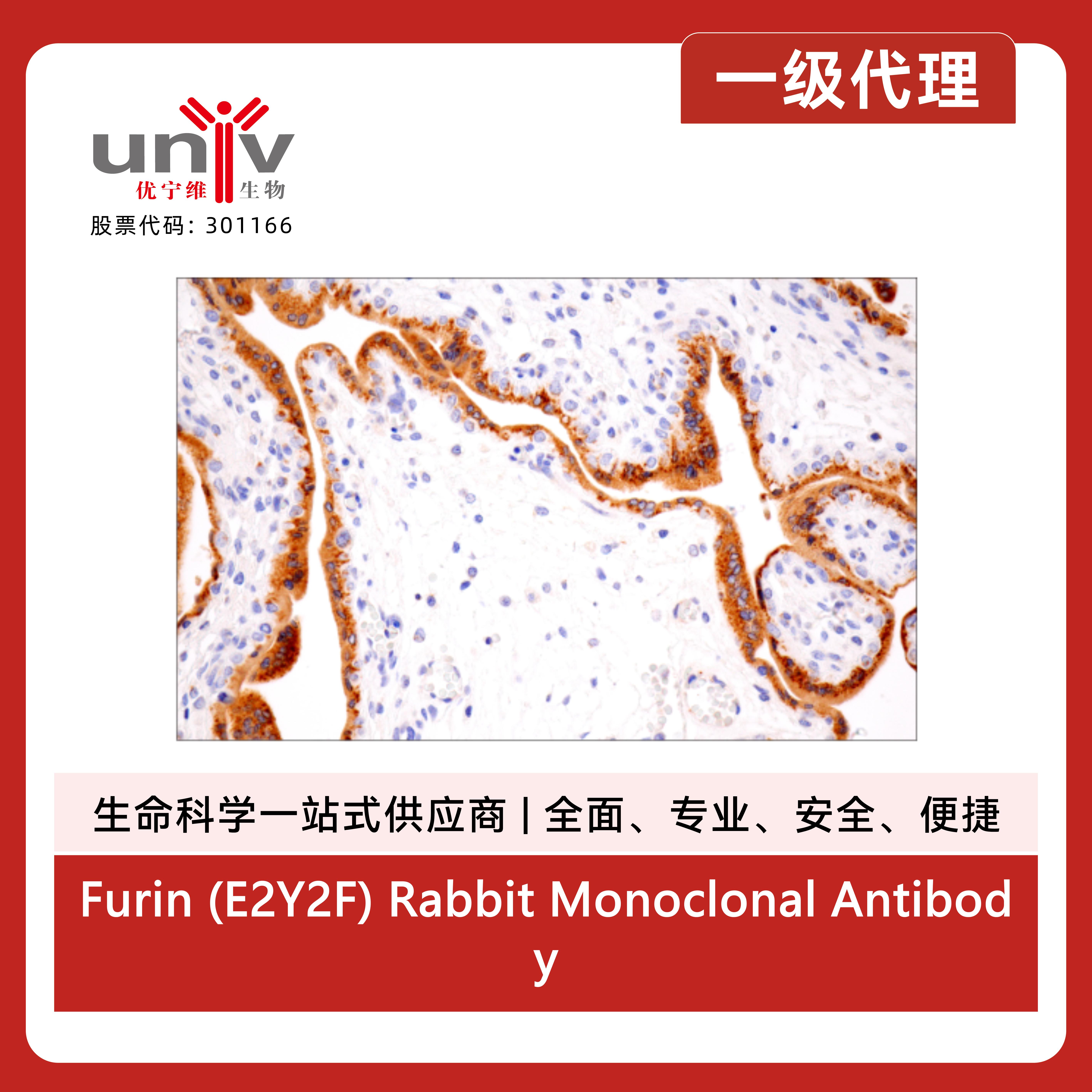 产品细节图片8
