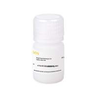 4×Tris-HCl-SDS分离胶缓冲液 pH8.8