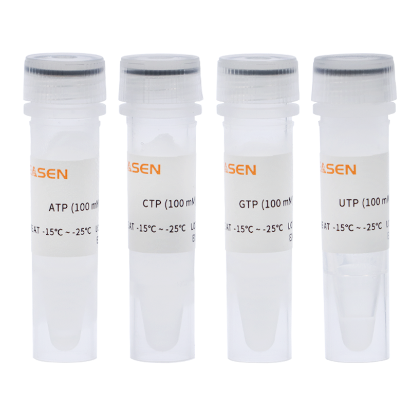 NTP 核苷三磷酸溶液套装(ATP, CTP, UTP, GTP, 100 mM each)