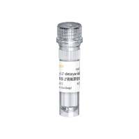 EdU细胞增殖检测试剂(5-ethynyl‐2′‐deoxyuridine)