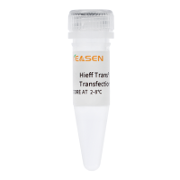 Hieff Trans®UltraAAV Transfection Reagent转染试剂