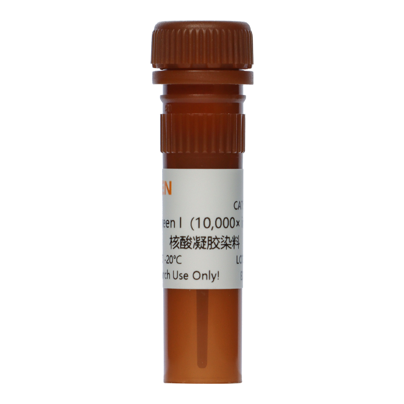 SYBR Green I 核酸凝胶染料(10,000× in DMSO)产品图