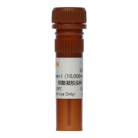 SYBR Green I 核酸凝胶染料(10,000× in DMSO)