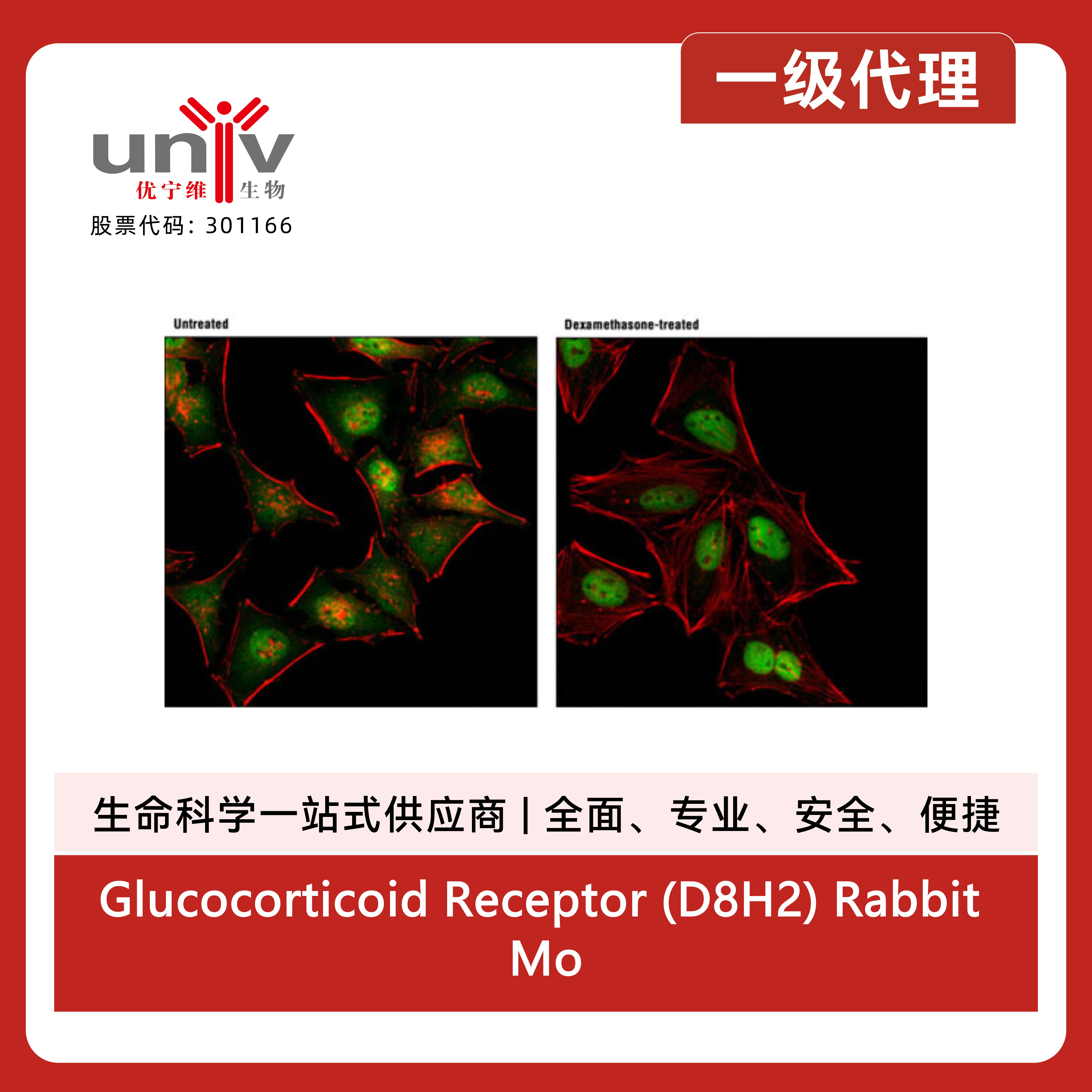 产品细节图片1