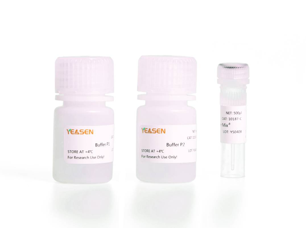植物组织直接PCR扩增试剂盒(Plant Tissue PCR Kit)