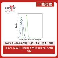FoxO1 (C29H4) Rabbit Monoclonal Antibody (Alexa Fluor® 488 Conjugate)