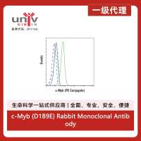 c-Myb (D1B9E) Rabbit Monoclonal Antibody (PE Conjugate)