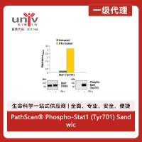 PathScan® Phospho-Stat1 (Tyr701) Sandwich ELISA Kit