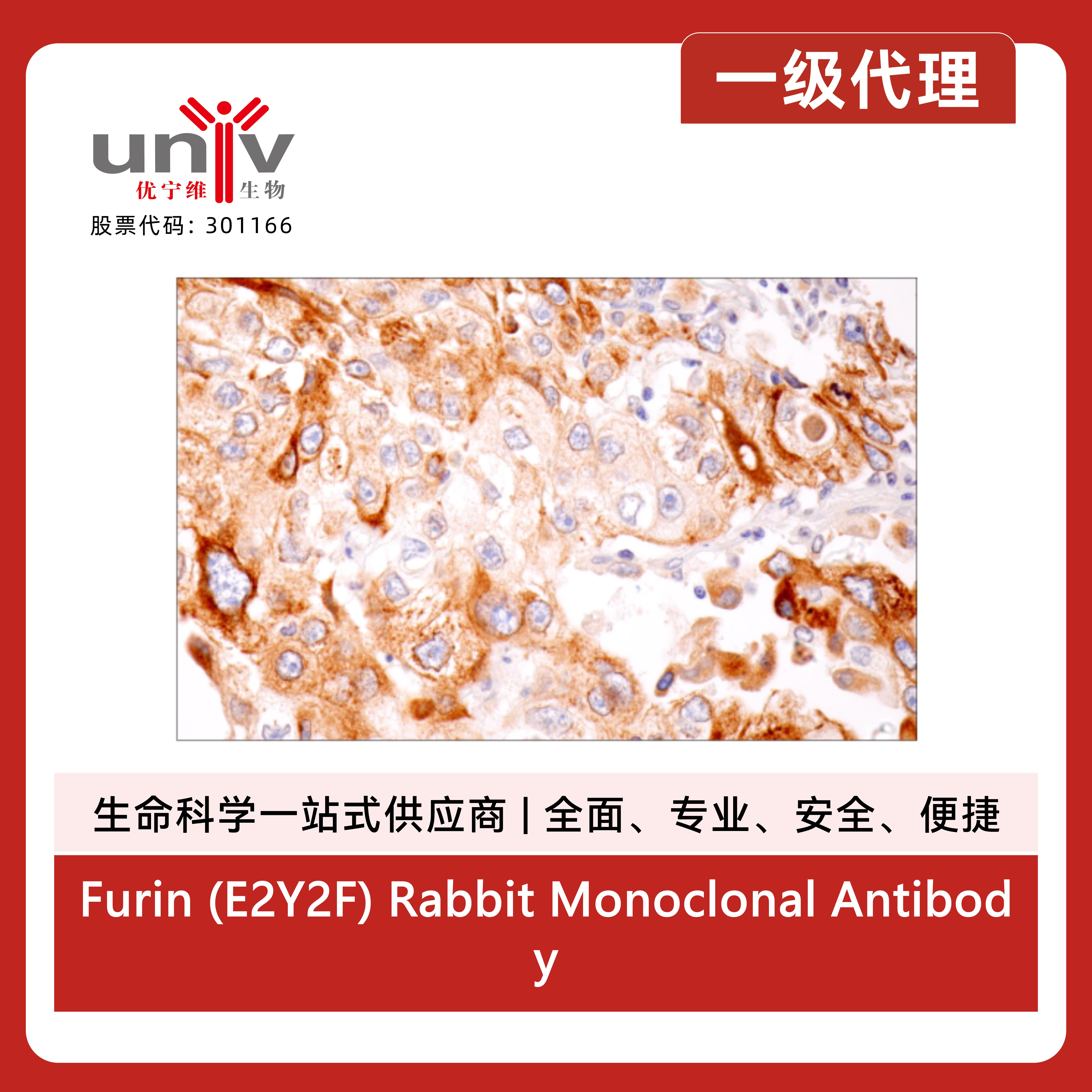 产品细节图片2