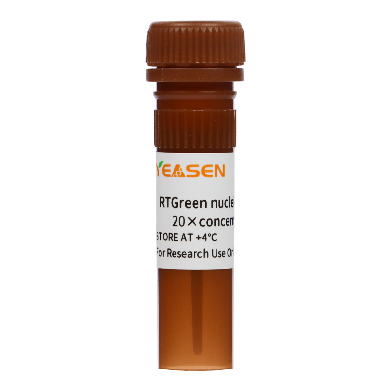 RTGreen核酸凝胶染料 20×核酸凝胶染料水溶液