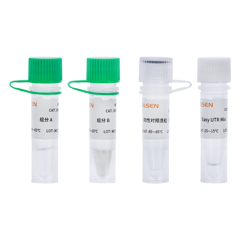无细胞蛋白表达系统试剂盒(高通量版) Cell Free Protein Expression Kit(HT)