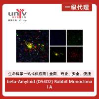 beta-Amyloid (D54D2) Rabbit Monoclonal Antibody (Alexa Fluor® 594 Conjugate)