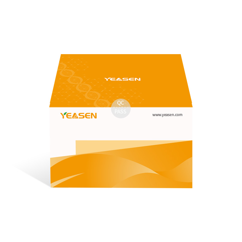 Hoechst 33342/PI双染试剂盒(细胞核荧光染料试剂盒)产品图