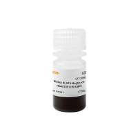 His标签蛋白纯化磁珠 HisSep Ni-NTA MagBeads