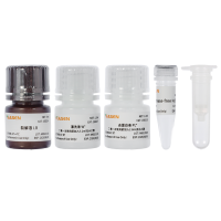血清/血浆miRNA提取试剂盒 MolPure® Serum/Plasma miRNA Kit[可申请试用]