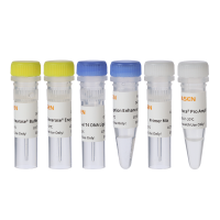 Hieff NGS® OnePot Pro DNA Library Prep Kit for Illumina