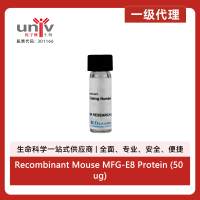 Recombinant Mouse MFG-E8 Protein (50 ug)