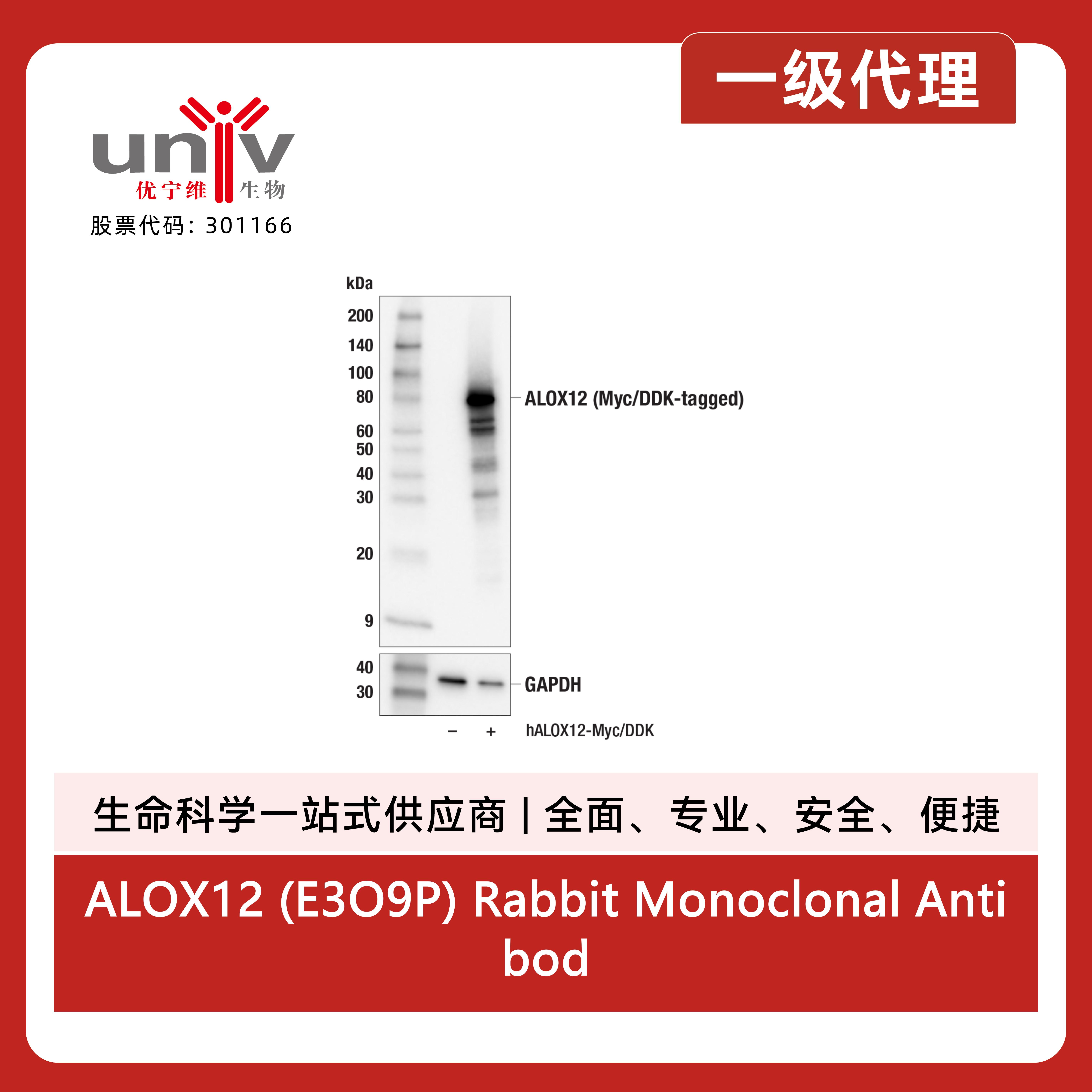 产品细节图片2