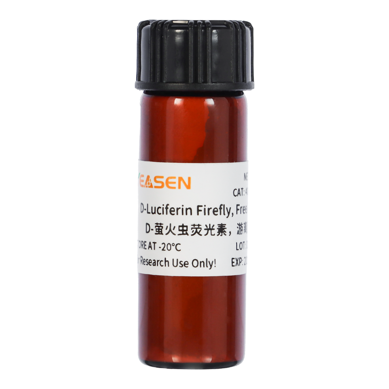 D-萤火虫荧光素游离酸(D-Luciferin Firefly,Free Acid) 活体成像试剂